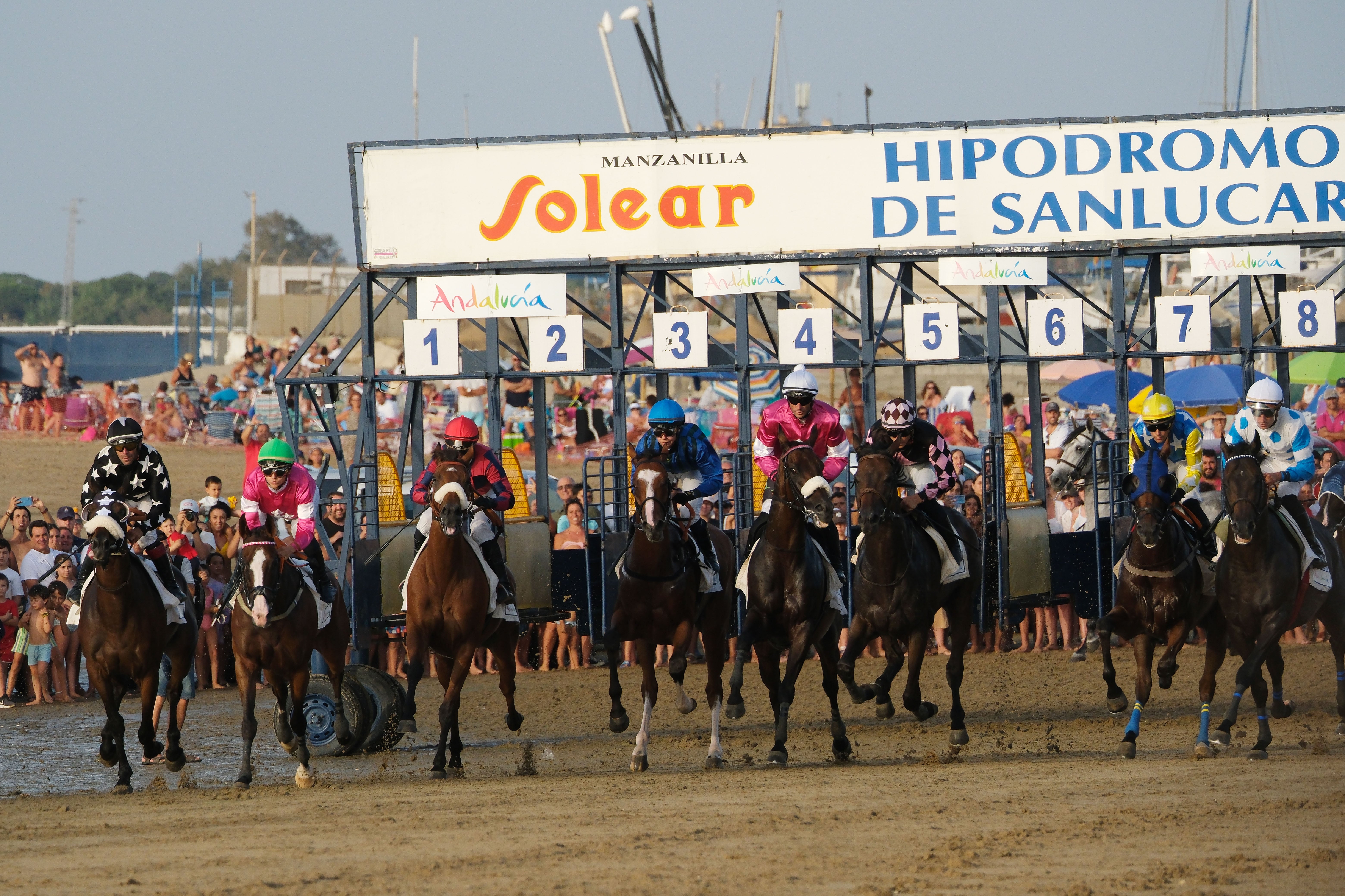 Las Carreras de Caballos de Sanlúcar regresan en todo su esplendor