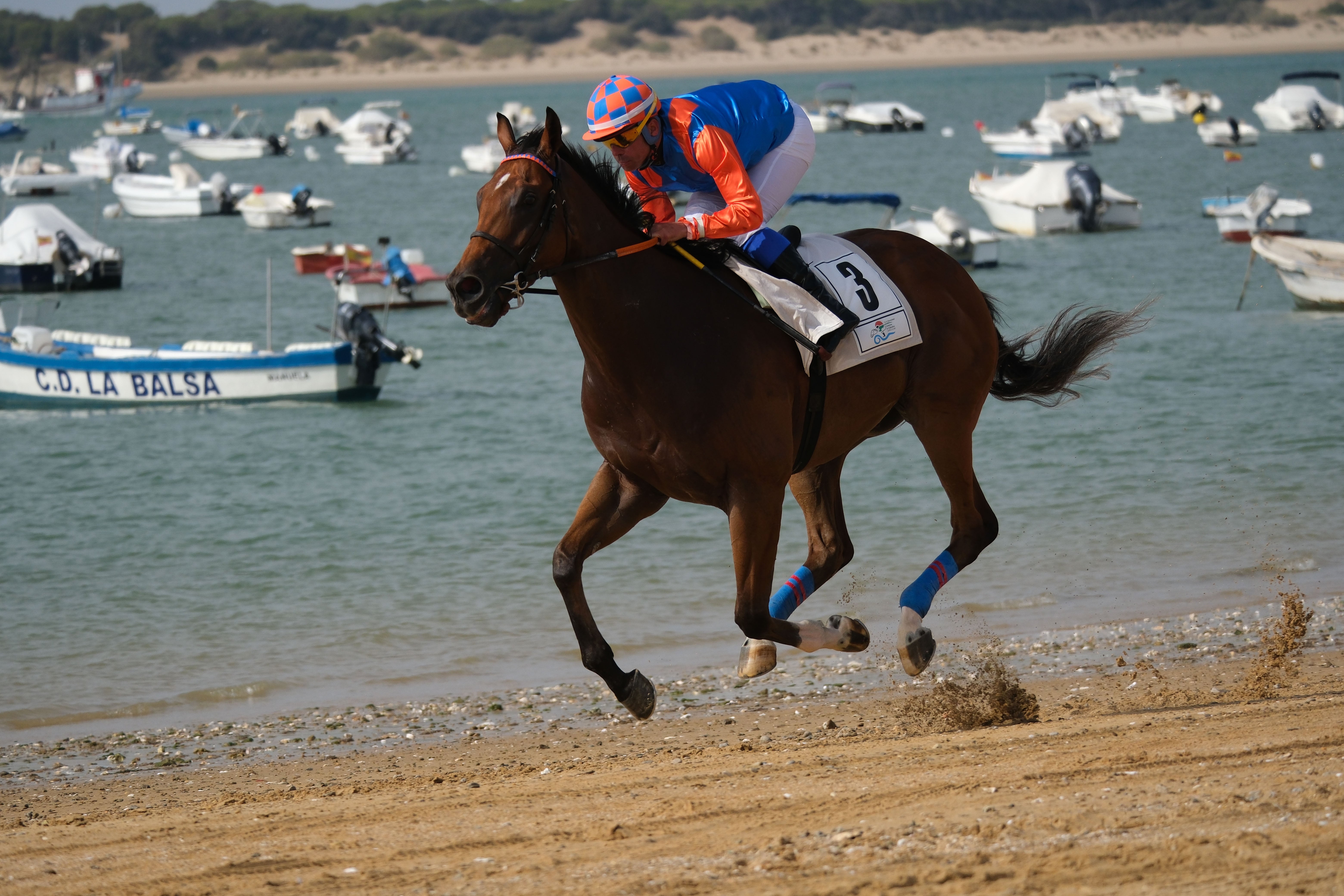 Las Carreras de Caballos de Sanlúcar regresan en todo su esplendor