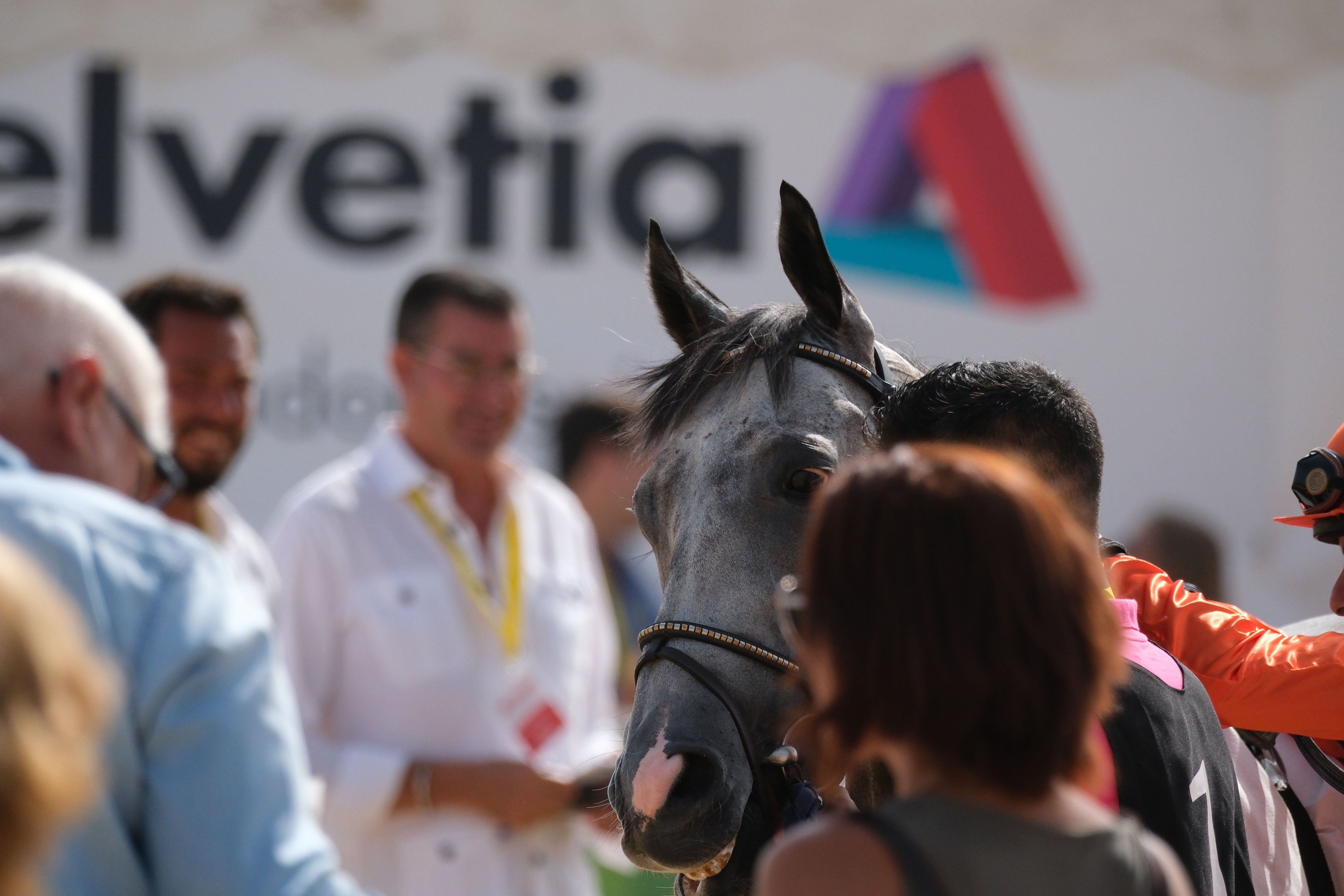 Las Carreras de Caballos de Sanlúcar regresan en todo su esplendor