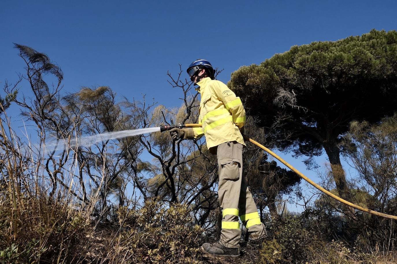 Las imágenes del incendio en Puerto Real