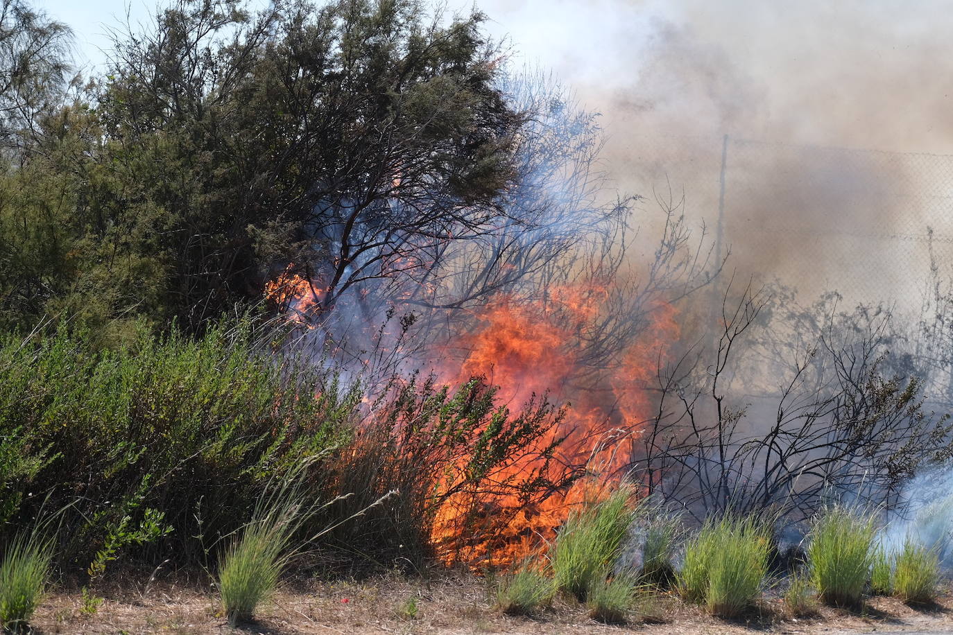 Las imágenes del incendio en Puerto Real