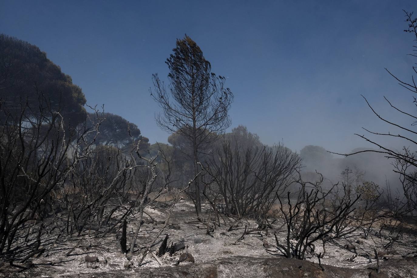 Las imágenes del incendio en Puerto Real