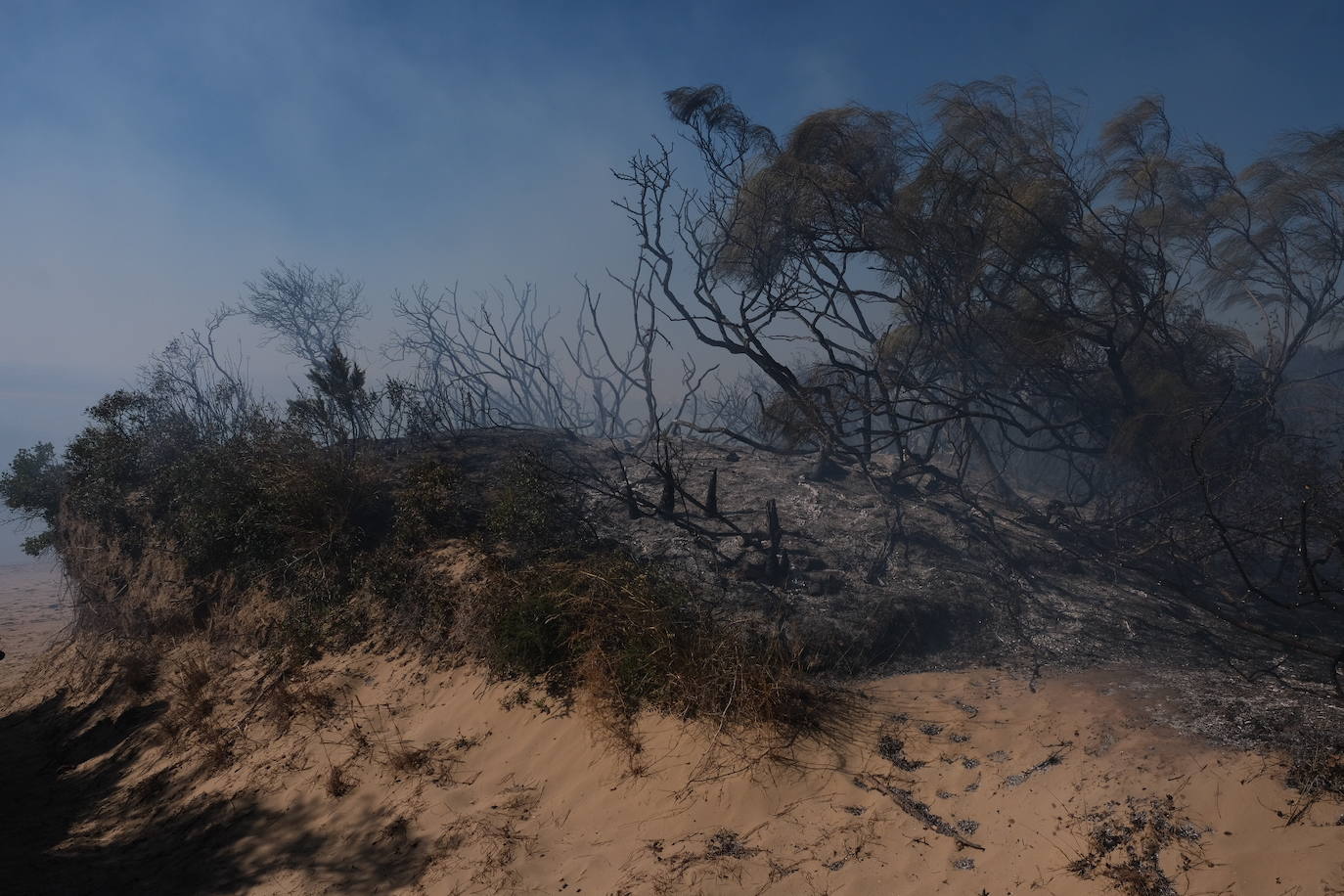 Las imágenes del incendio en Puerto Real