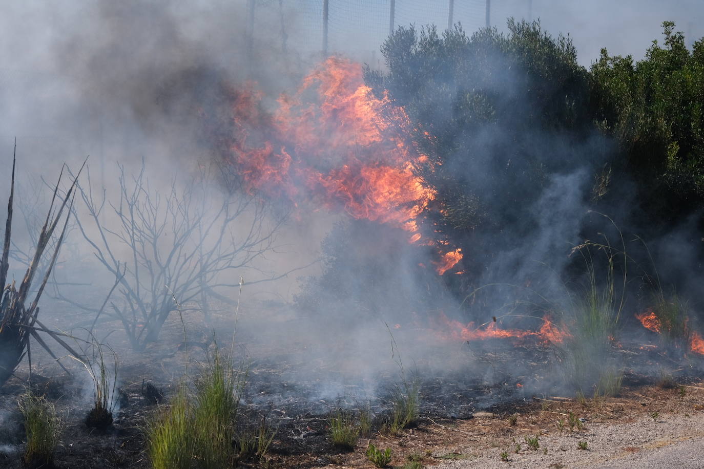 Las imágenes del incendio en Puerto Real