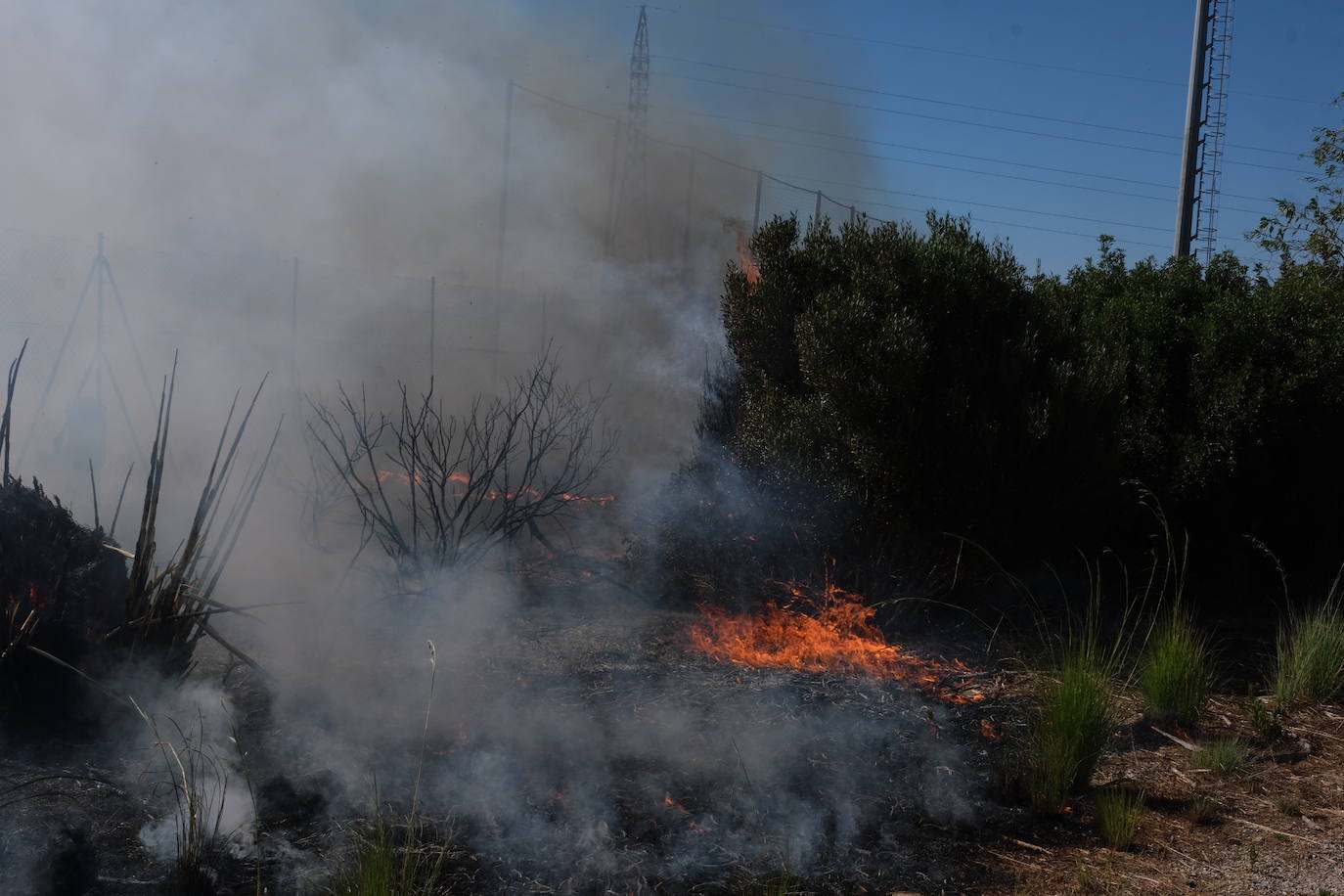 Las imágenes del incendio en Puerto Real