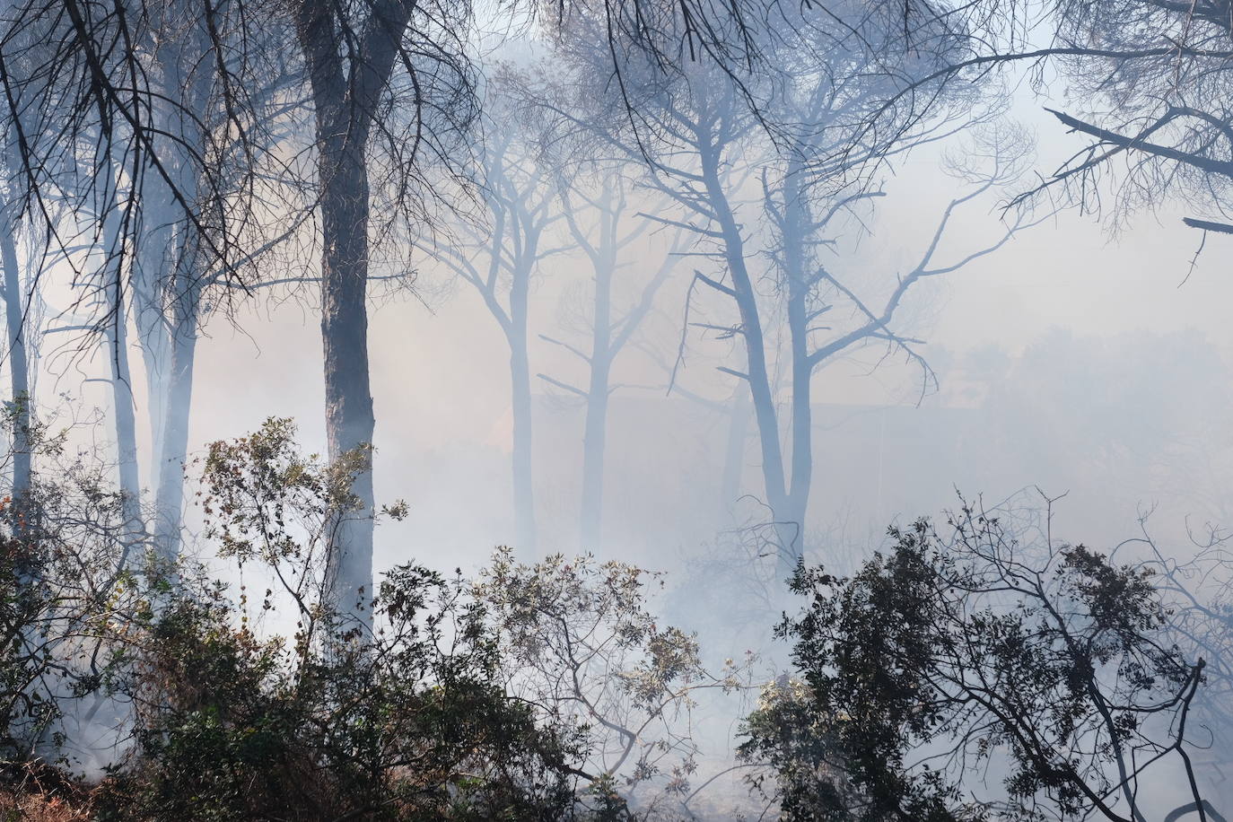 Las imágenes del incendio en Puerto Real