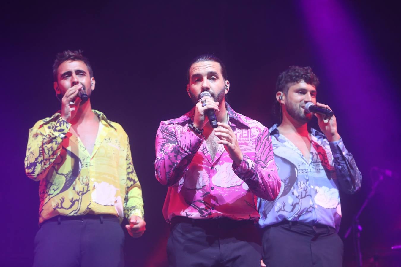 Fondo Flamenco en el Cabaret Festival