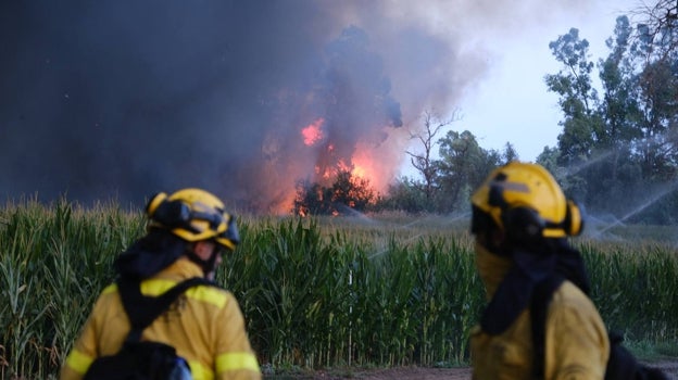 ¿Cuántas hectáreas han ardido en Cádiz? El fuego ofrece una pequeña tregua este verano