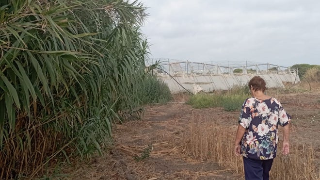 Manuela pasea por El Palmar