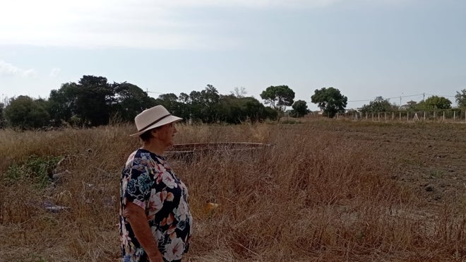 Manuela contempla el paisaje de El Palmar