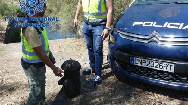 El busto robado de Pepe el del Vapor aparece tirado en una acequia cerca del Aqualand de El Puerto