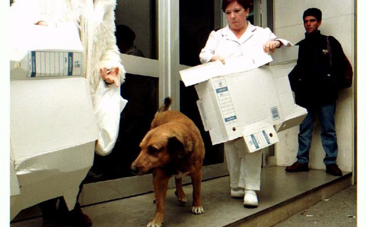 Una trabajadora sanitaria prepara la 'cama' de Canelo a la puerta del hospital en enero de 1997.
