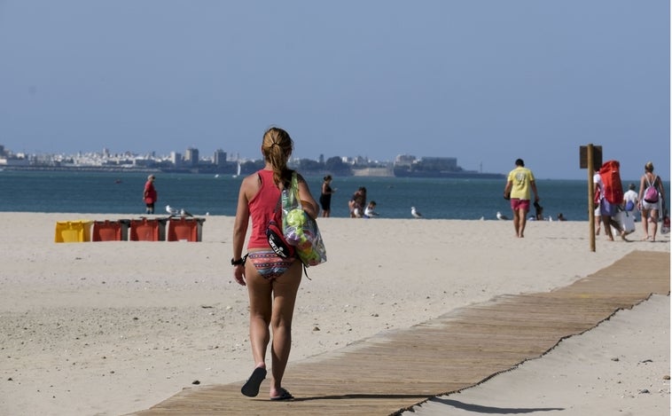 El Paseo organiza una jornada de limpieza en la Playa de La Puntilla por el World Cleanup Day