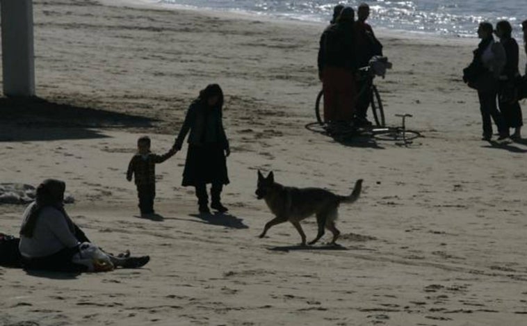 Propietarios de perros en Cádiz, indignados con el Ayuntamiento por no poder bajar aún a la playa con sus mascotas