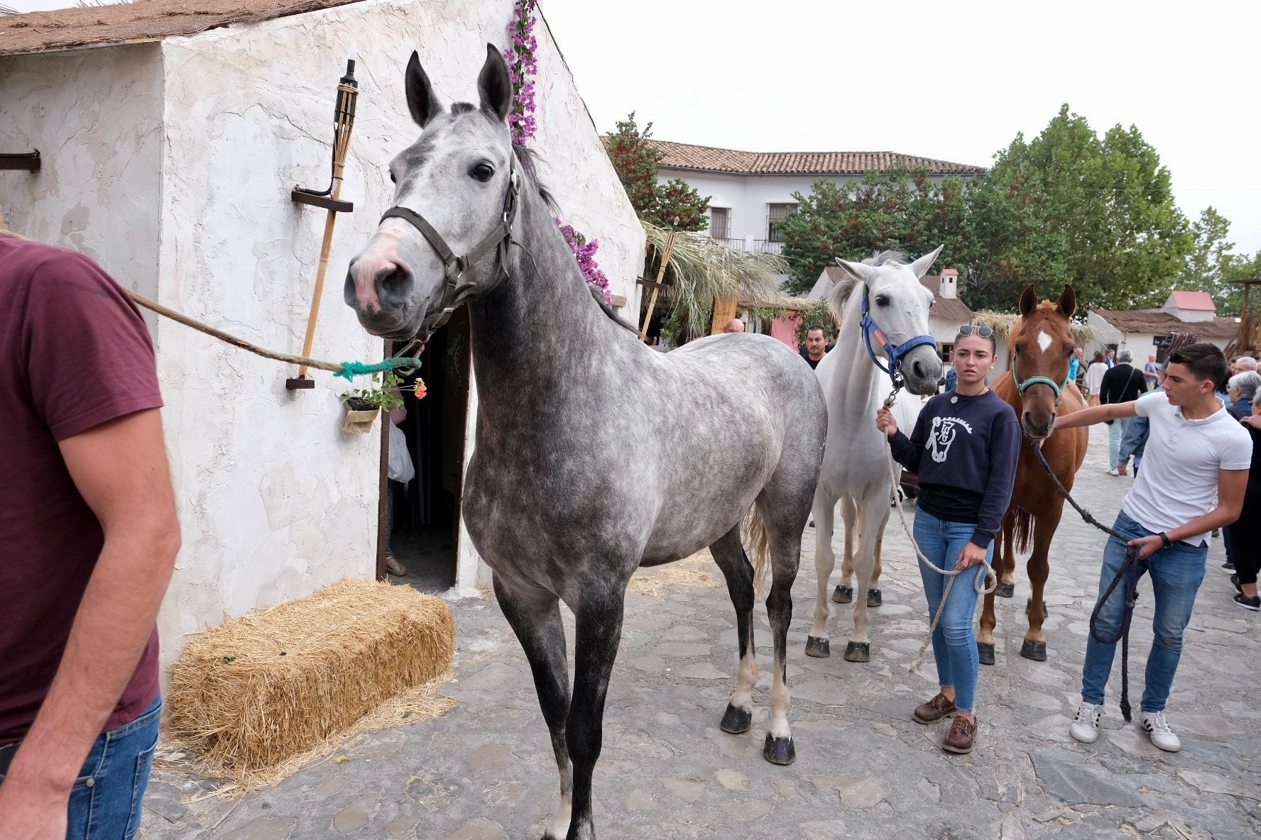 La recreación histórica de Grazalema, en imágenes