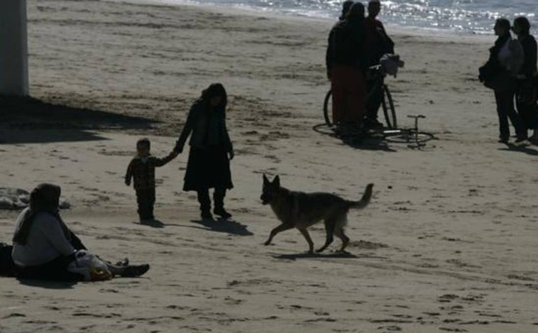 Chiclana amplía la ordenanza para la presencia de perros en las playas