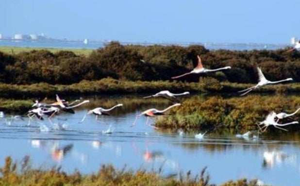 La Junta mejora el centro de visitantes del Parque Natural Bahía de Cádiz