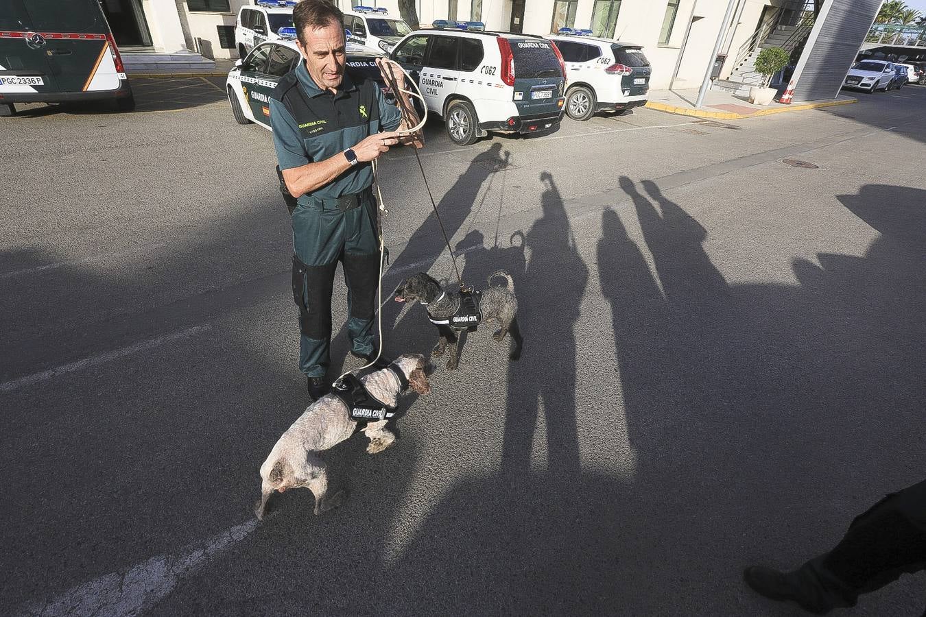 Fotos: Así se preparan los perros detectores de la Guardia Civil en Cádiz