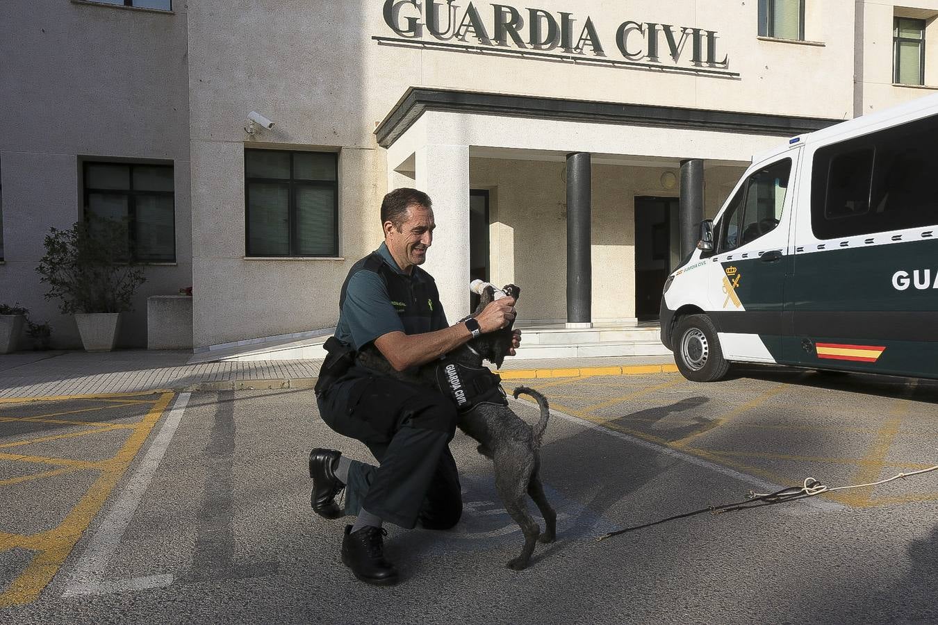 Fotos: Así se preparan los perros detectores de la Guardia Civil en Cádiz