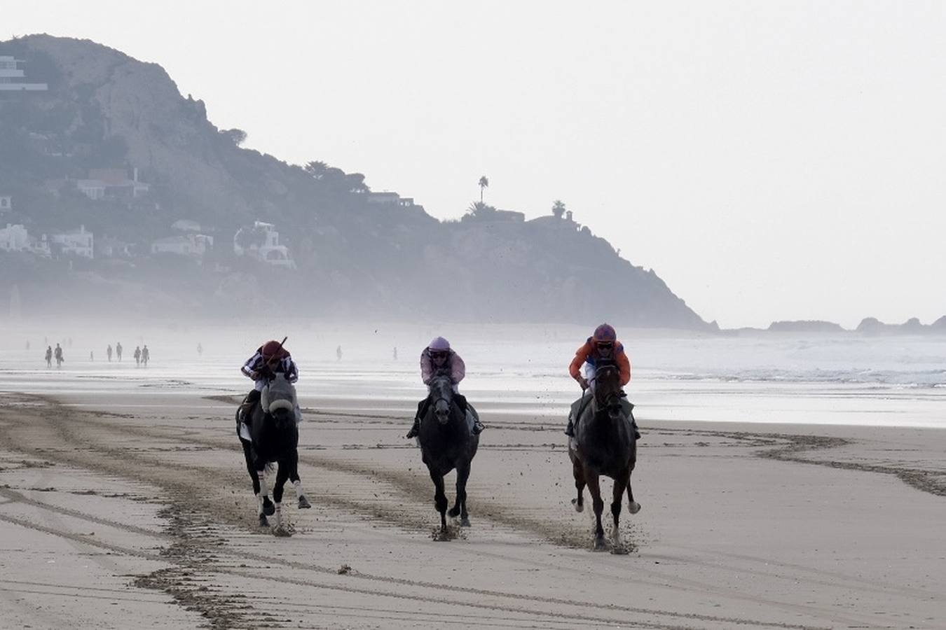 FOTOS: Carreras de caballos en la playa de Zahara de los Atunes