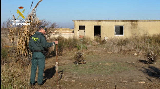 La Guardia Civil actúa contra la captura ilegal de aves fringílidas, los conocidos &#039;pajaritos&#039;