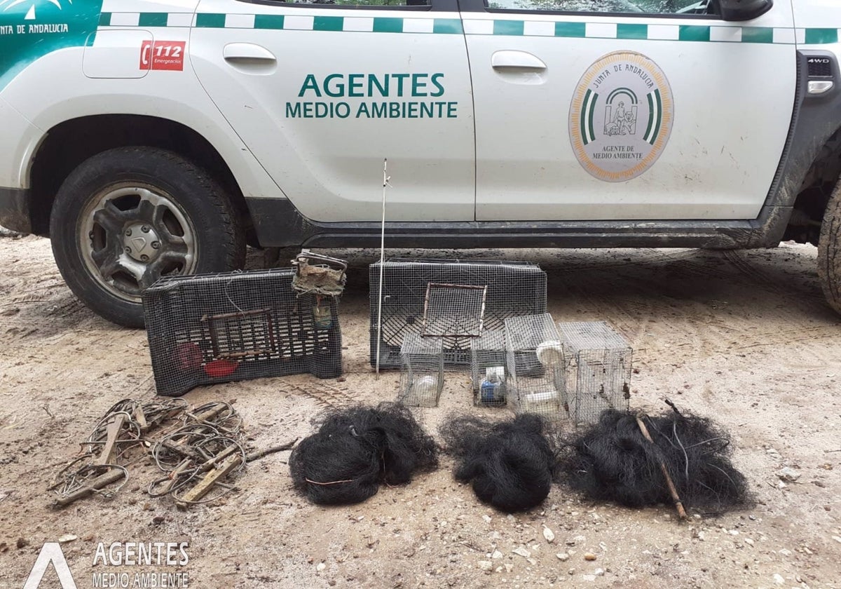 Liberadas en Cádiz más de 150 aves fringílidas y cuatro insectívoras