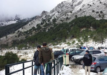 Nueva ruta en la Sierra de Cádiz: recuperan el sendero que une El Bosque con Grazalema