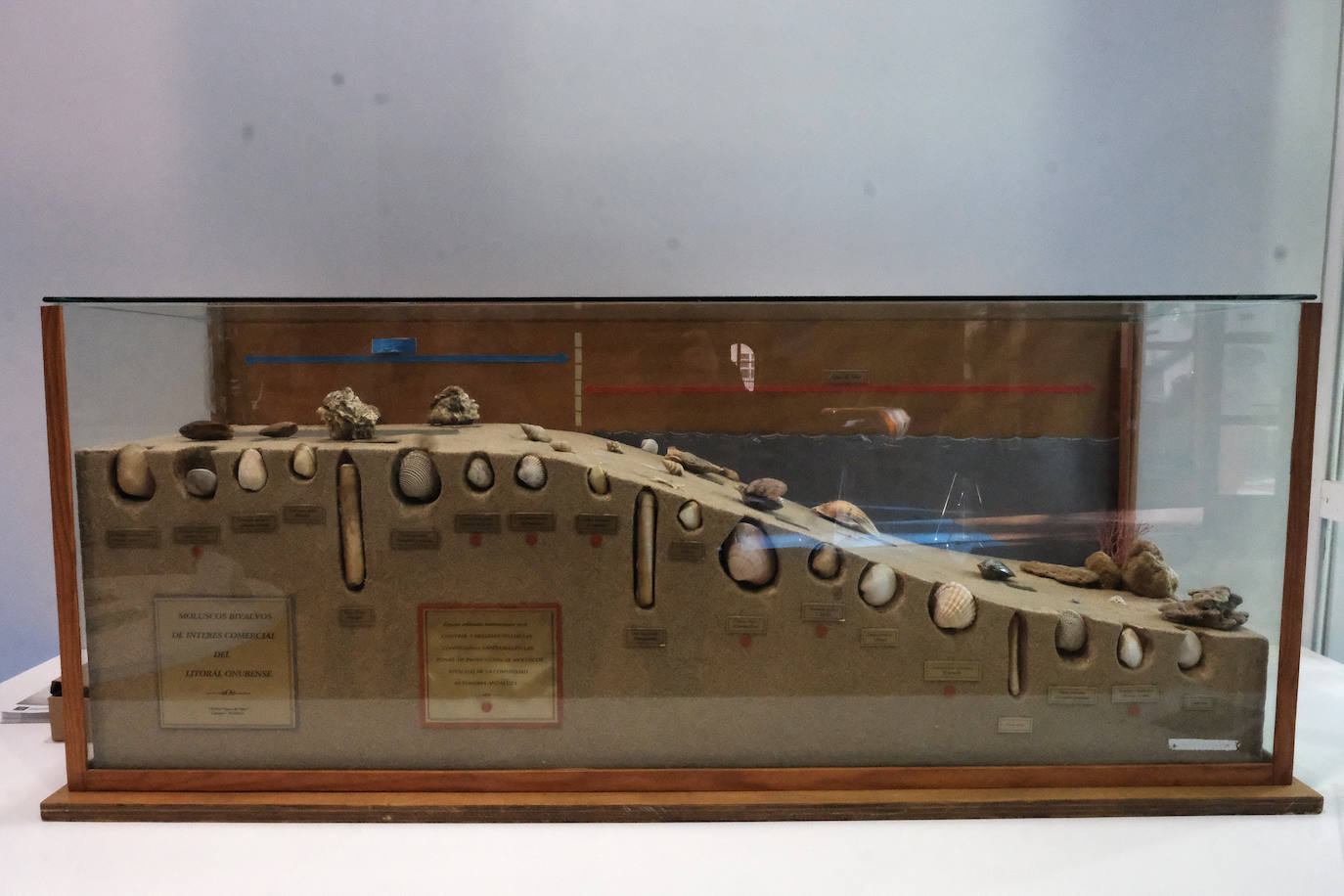 Fotos: Así ha sido el primer día del II Encuentro Internacional de Conocimiento y Economía Azul