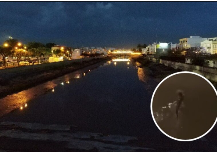 Vídeo: Localizan una nutria en el río Iro de Chiclana