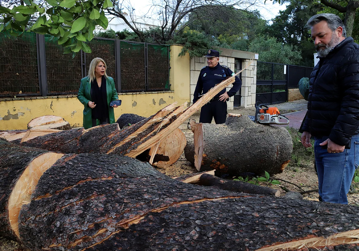 Desalojadas dos familias en Jerez por el temporal de viento y lluvia