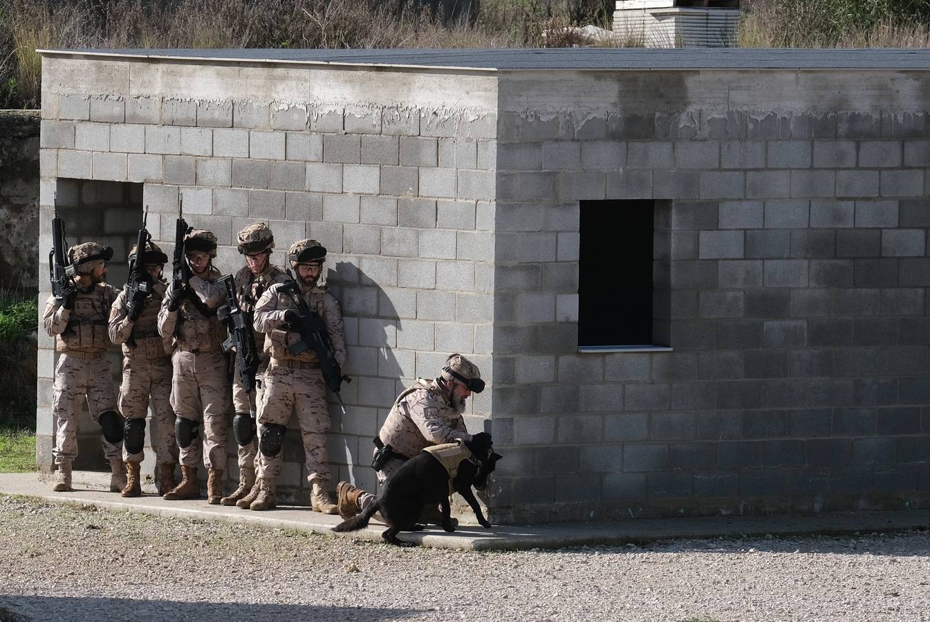 Fotos: las imágenes de la visita del rey Felipe VI al TEAR de San Fernando