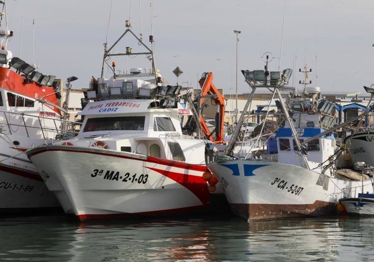 La pesca despide el año con un aumento en las cuotas de captura en el Golfo de Cádiz