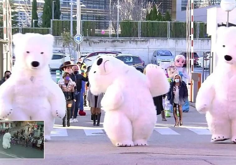 6de enero. La imagen del oso perjudicado en la Cabalgata de Reyes de Cádiz dio la vuelta al mundo, provocando todo tipo de bromas entre los gaditanos. Incluso se intentó recuperar esta singular figura para el siguiente desfile.