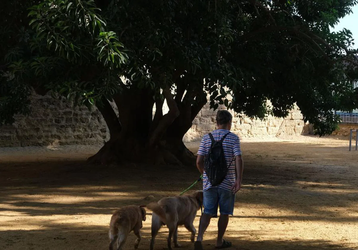 Dos empleados de jardines de Cádiz tendrán que cobrar un plus de toxicidad por limpiar los parques caninos