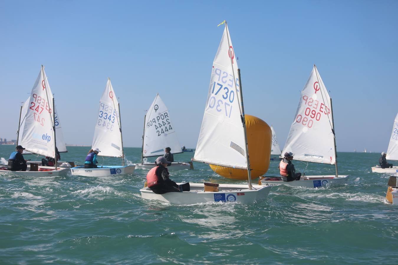 La Excellence Cup de Optimist se despide con honores de la Bahía de Cádiz