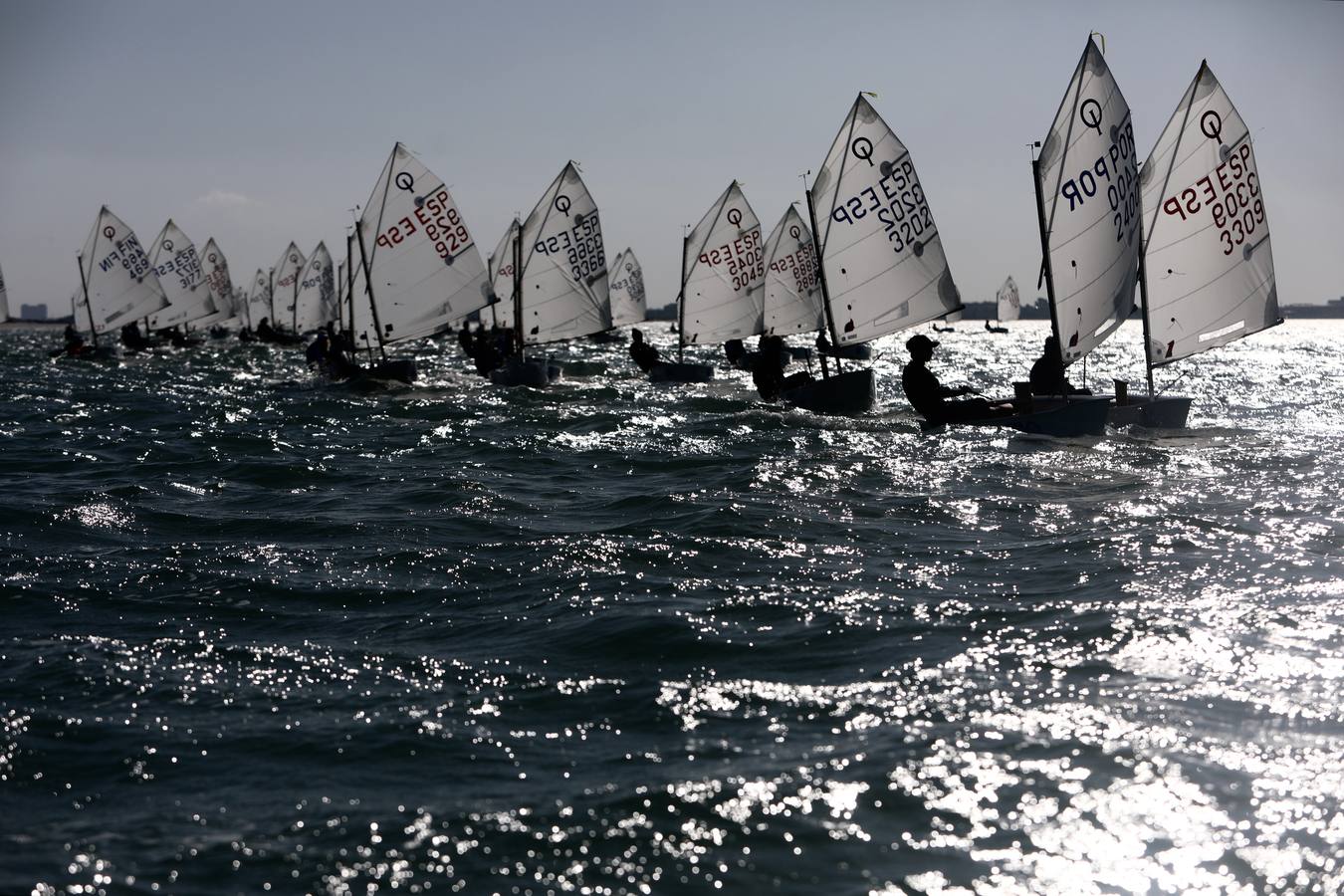 La Excellence Cup de Optimist se despide con honores de la Bahía de Cádiz