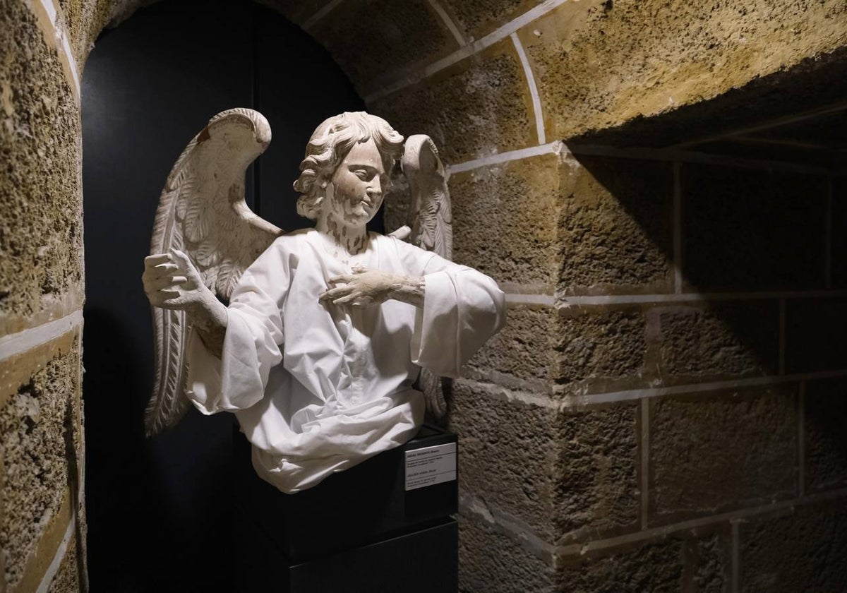 Las fotos de la inauguración de la exposición de la Catedral de Cádiz