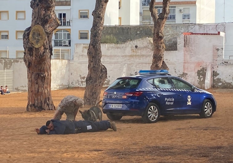 La Unidad Cinológica del Tercio del Sur realizará una demostración este domingo por San Antón