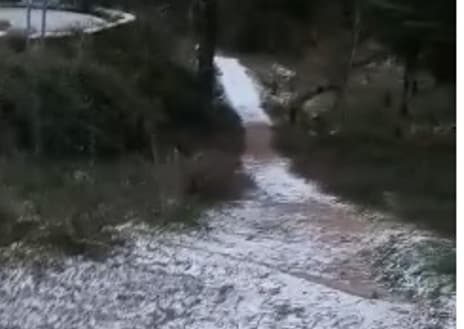 Imagen secundaria 1 - La nieve llega a la Sierra de Grazalema en Cádiz