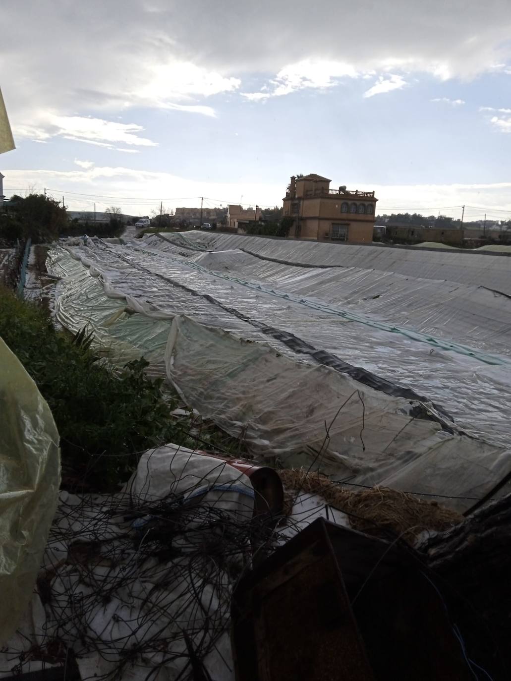 Fotos: Efectos del pedrisco de Sanlúcar en la agricultura