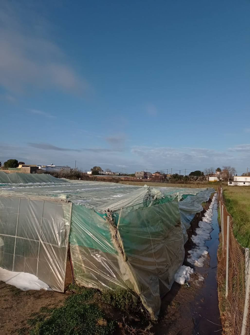 Fotos: Efectos del pedrisco de Sanlúcar en la agricultura