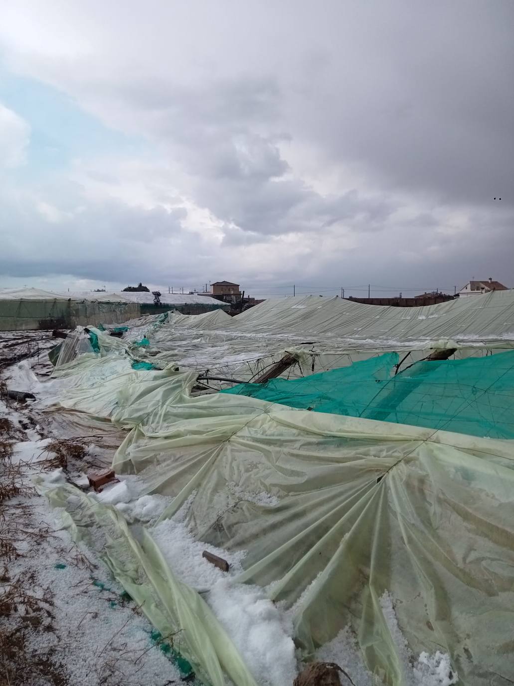 Fotos: Efectos del pedrisco de Sanlúcar en la agricultura