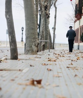 Imagen secundaria 2 - Caída de árboles, postes de telefonía, cornisas... el viento de Levante causa una treintena de incidencias en la provincia