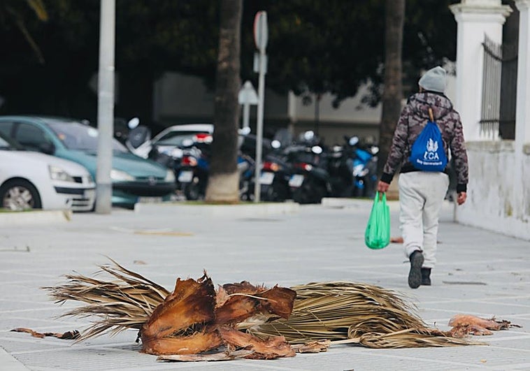 Caída de árboles, postes de telefonía, cornisas... el viento de Levante causa una treintena de incidencias en la provincia