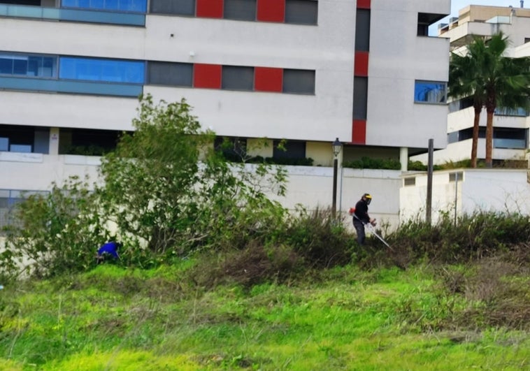 Vecinos de El Puerto limpian ellos mismos un solar abandonado ante la «inacción» del Ayuntamiento