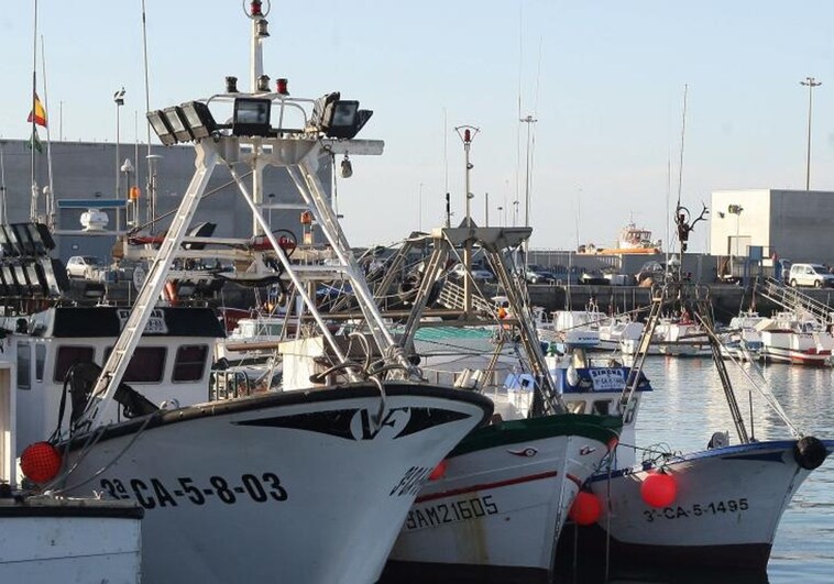 Pescadores de Barbate ven positivo un posible adelanto de la captura de la sardina en el Golfo de Cádiz