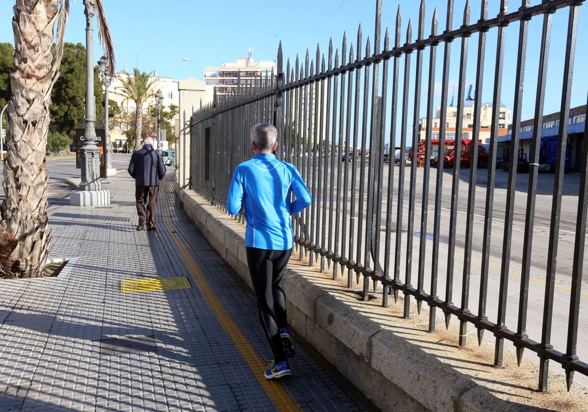 Autoridad Portuaria y Fundación Cajasol participan en el Congreso de la Lengua con una exposición sobre la verja del muelle