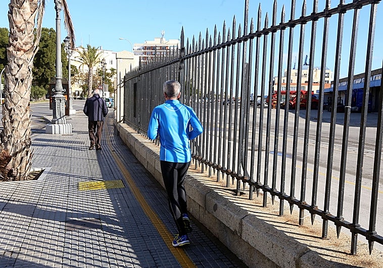 Autoridad Portuaria y Fundación Cajasol participan en el Congreso de la Lengua con una exposición sobre la verja del muelle