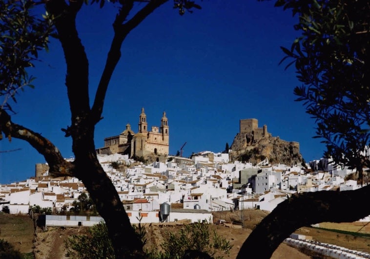 Licitadas las obras para crear una ruta peatonal entre el conjunto histórico de Olvera y su zona comercial