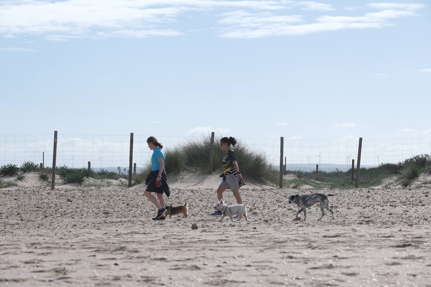 Fotos: Las playas toman protagonismo en Cádiz